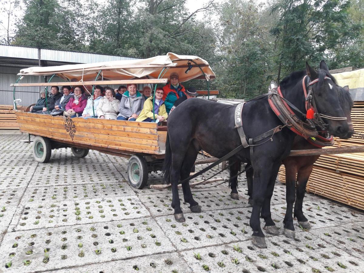 Agroturystyka U Misia Villa Niedźwiedź Kültér fotó